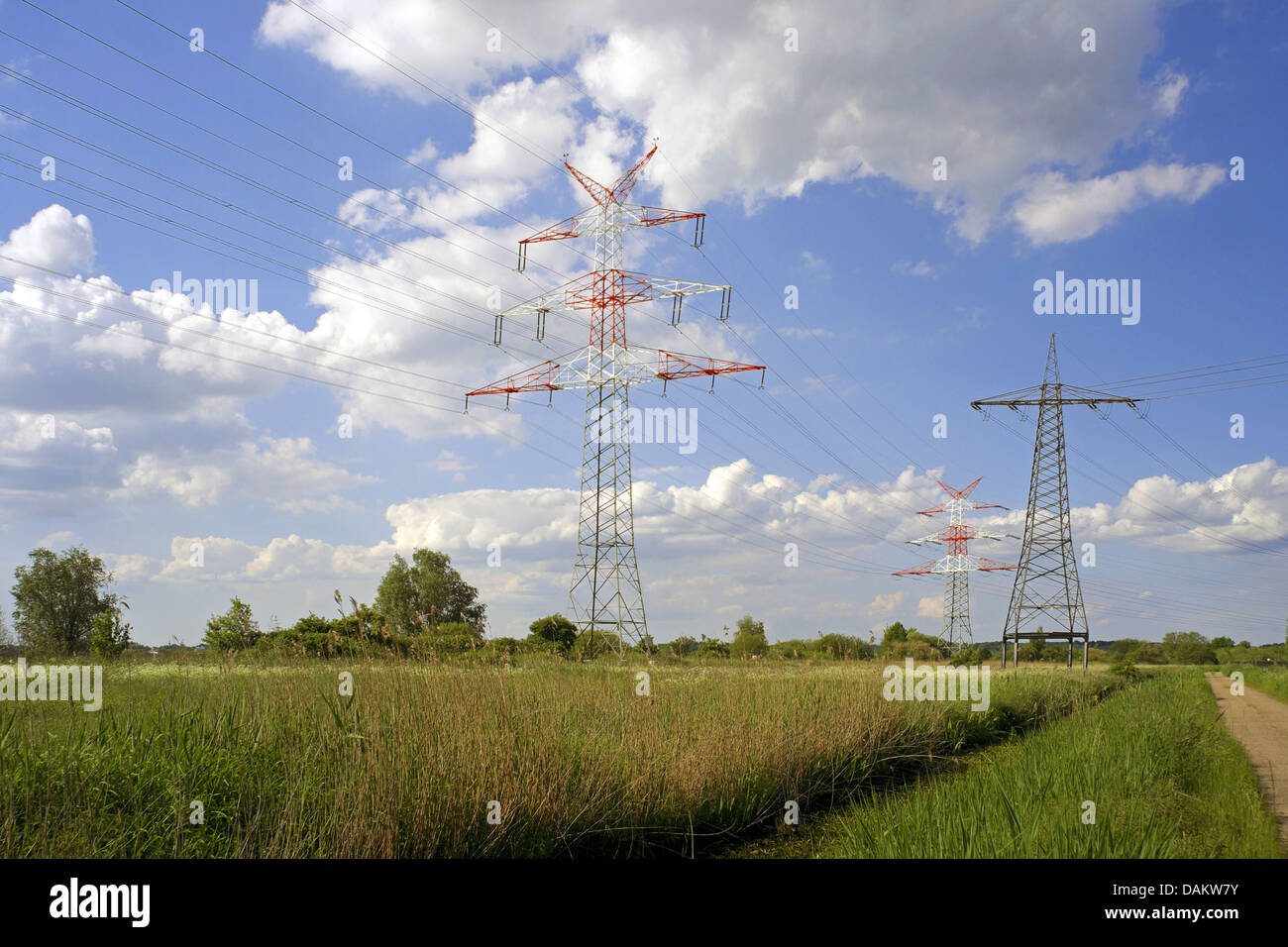 Strommasten im Bereich Landschaft, Deutschland, Werderland, Bremen-Lesum Stockfoto