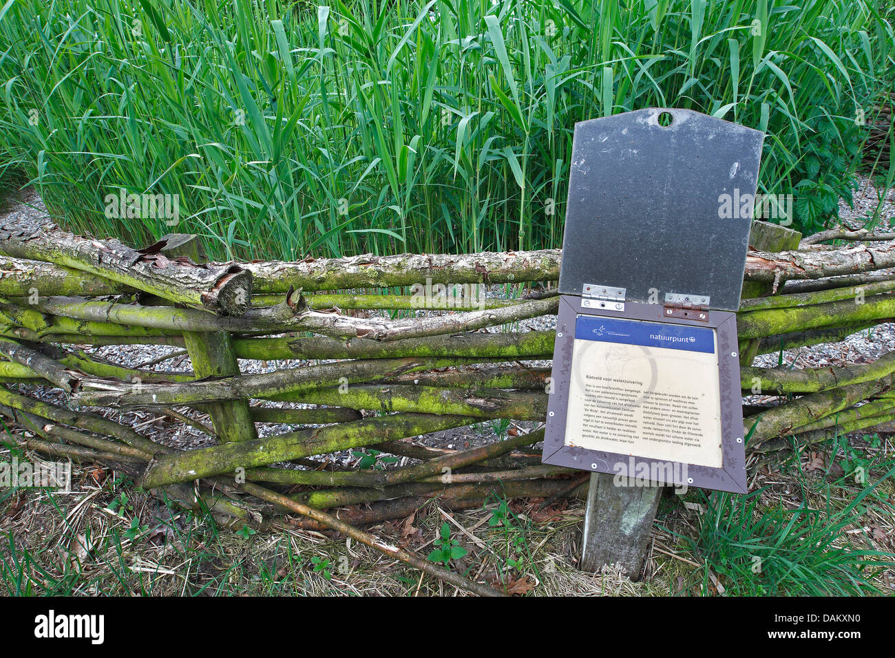 Alternative Wasserreinigung Installation konstruiert Feuchtgebiet, Belgien Stockfoto