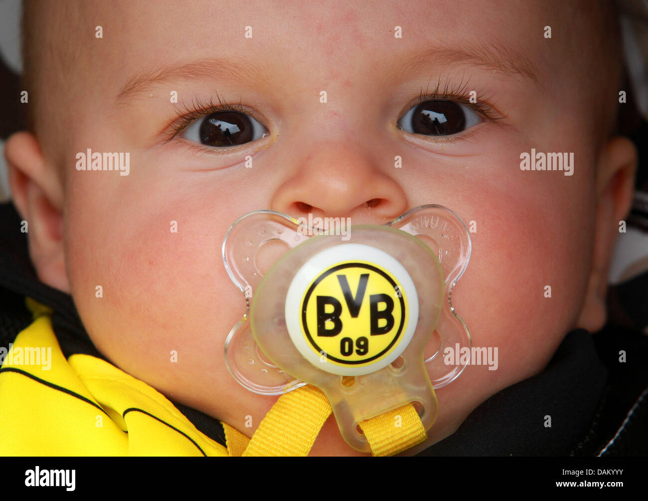 Sechs-Monate-alten Ronny saugt auf Schnuller mit BVB-Logo drauf auf dem  alten Markt vor dem Bundesliga-Spiel Borussia Dortmund gegen Eintracht  Frankfurt in Dortmund, Deutschland, 14. Mai 2011. Dortmund ist deutscher  Meister der Saison