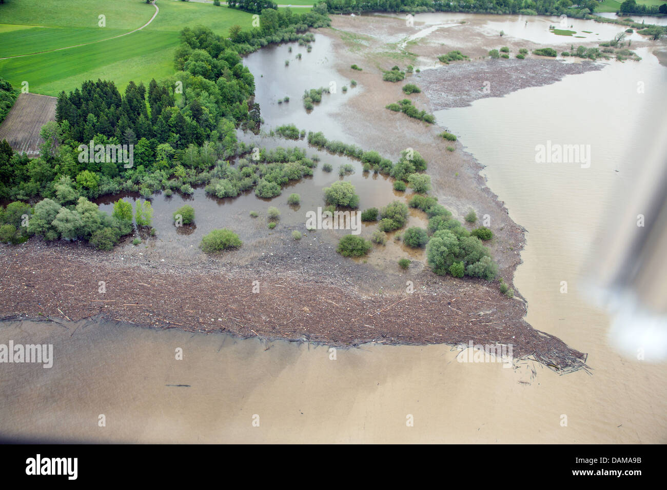 Treibholz von Grabenstaett am Chiemsee während der Flut von Juni 2013, Deutschland, Bayern, See Chiemsee Stockfoto