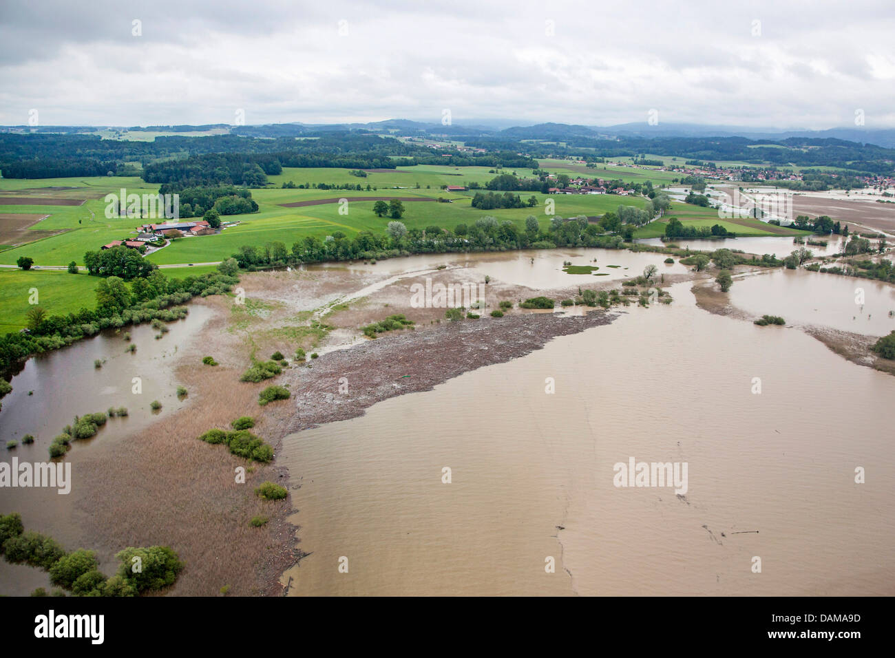 Treibholz von Grabenstaett am Chiemsee während der Flut von Juni 2013, Deutschland, Bayern, See Chiemsee Stockfoto
