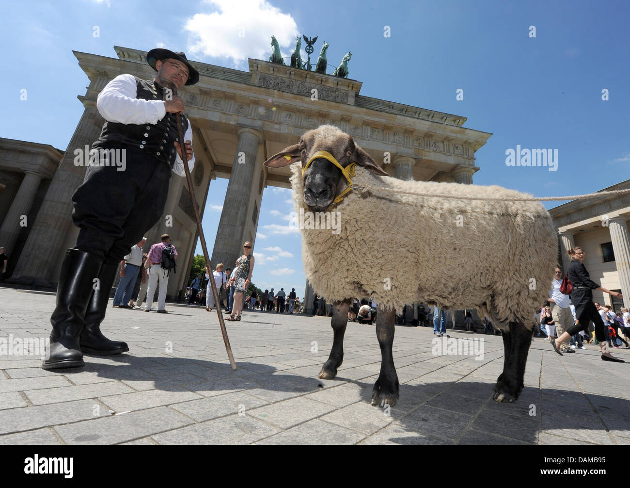 Ein Schaf und Hirte steht vor dem Brandenburger Tor in Berlin, Deutschland, 3. Juni 2011. Mit dieser Aktion wollen die deutschen Schafhalter bringen die Aufmerksamkeit auf die vielen Aspekte und Probleme mit der Schafzucht. Foto: Jörg CARSTENSEN Stockfoto