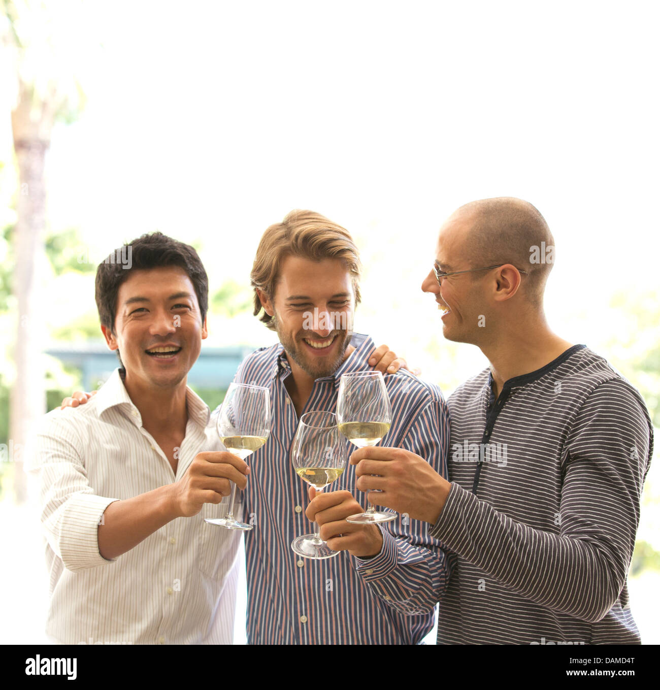 Männer, die einander mit Wein Toasten Stockfoto