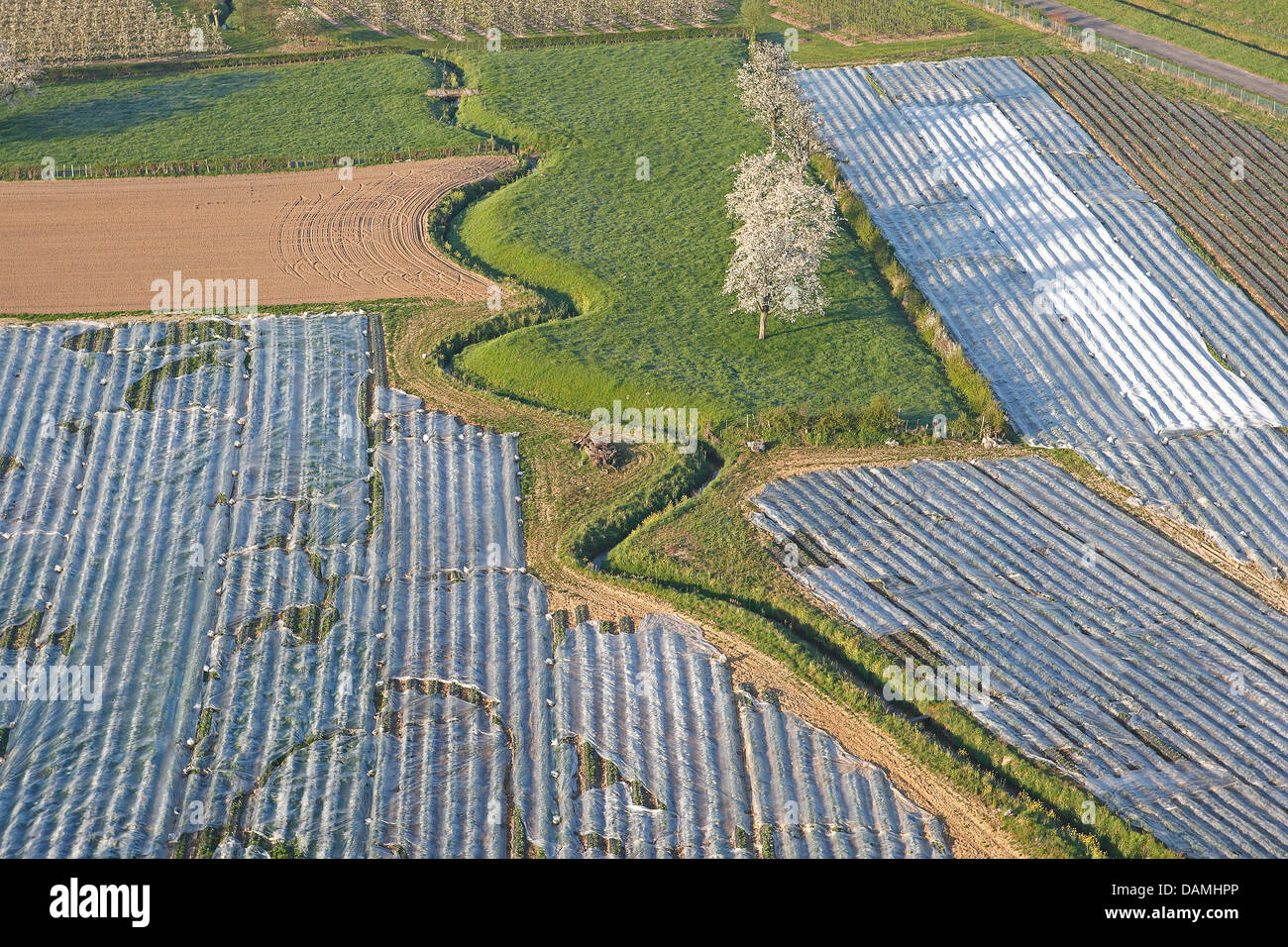 Luftbild, gewundenen Creek im Bereich Landschaft, Belgien Stockfoto