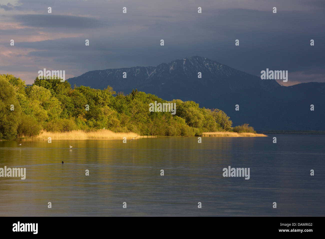 die letzten Sonnenstrahlen vor dem steigenden Sturm über den Chiemsee, Deutschland, Bayern, See Chiemsee, Seebruck Stockfoto