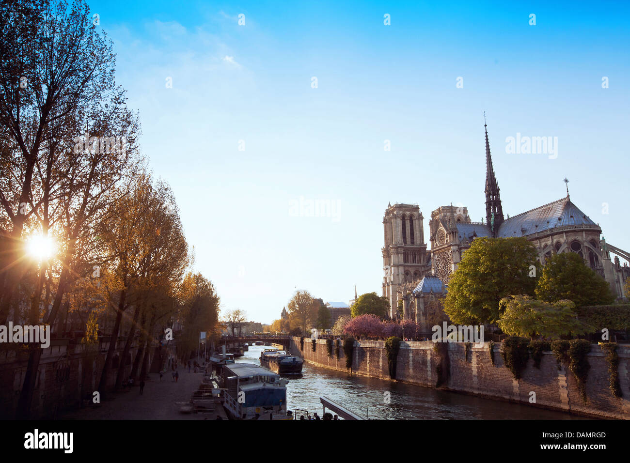 Panoramablick auf die Kathedrale Notre Dame in Paris, Frankreich Stockfoto