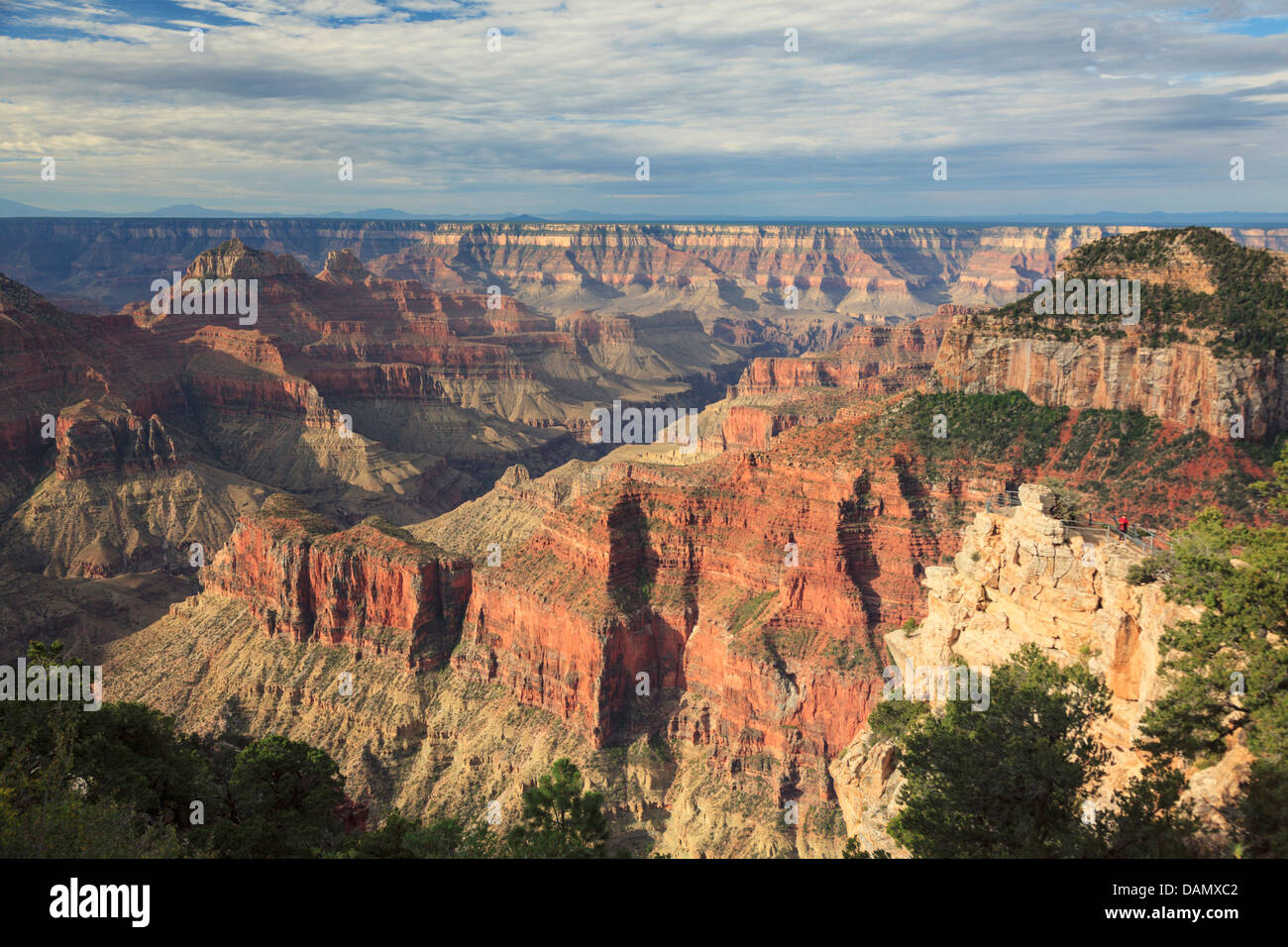 USA, Arizona, Grand Canyon National Park North Rim, Bright Angel Point Stockfoto