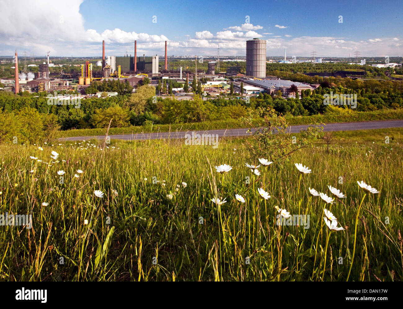 Blick vom Vorrat auf Prosper Kokerei, Bottrop, Ruhrgebiet, Nordrhein-Westfalen, Deutschland Stockfoto