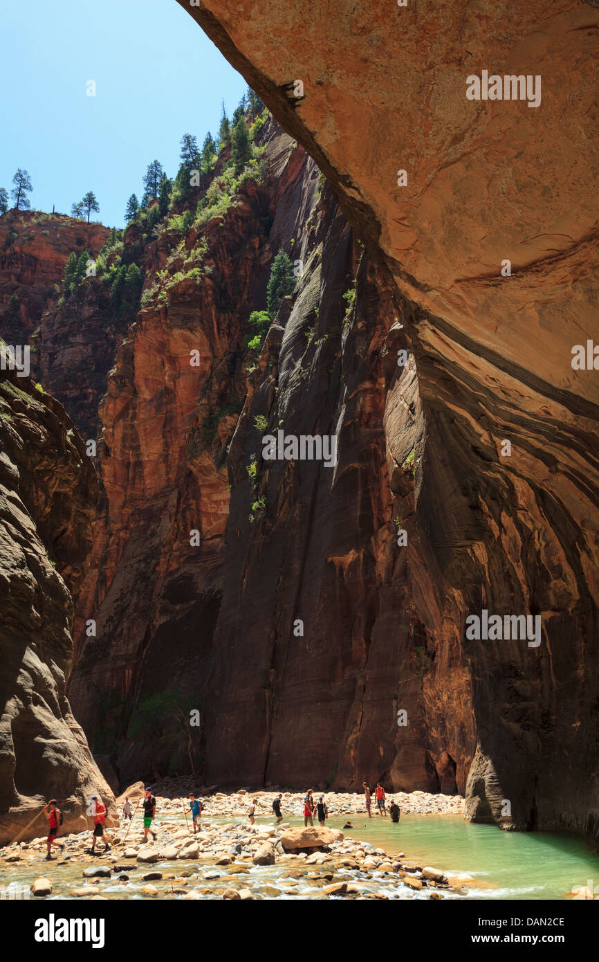 USA, Utah, Zion Nationalpark, The Narrows Touristen Wandern im Canyon in der Virgin River Stockfoto