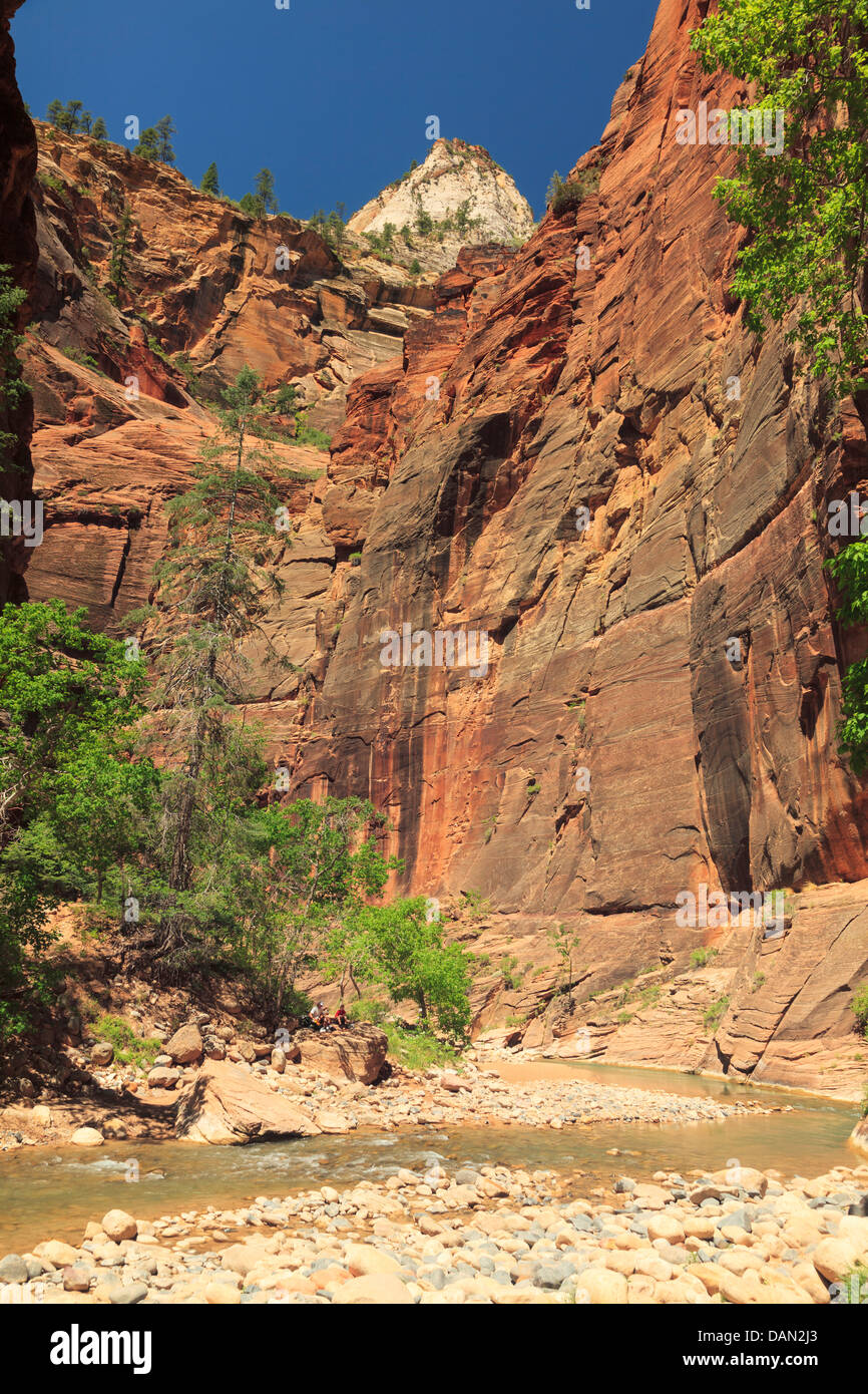 USA, Utah, Zion Nationalpark, The Narrows Touristen Wandern im Canyon in der Virgin River Stockfoto