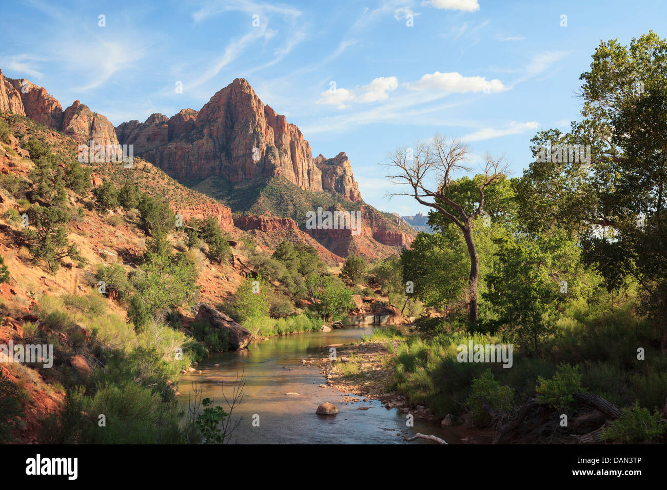 USA, Utah, Zion Nationalpark, Wächter Berg und Virgin River Stockfoto