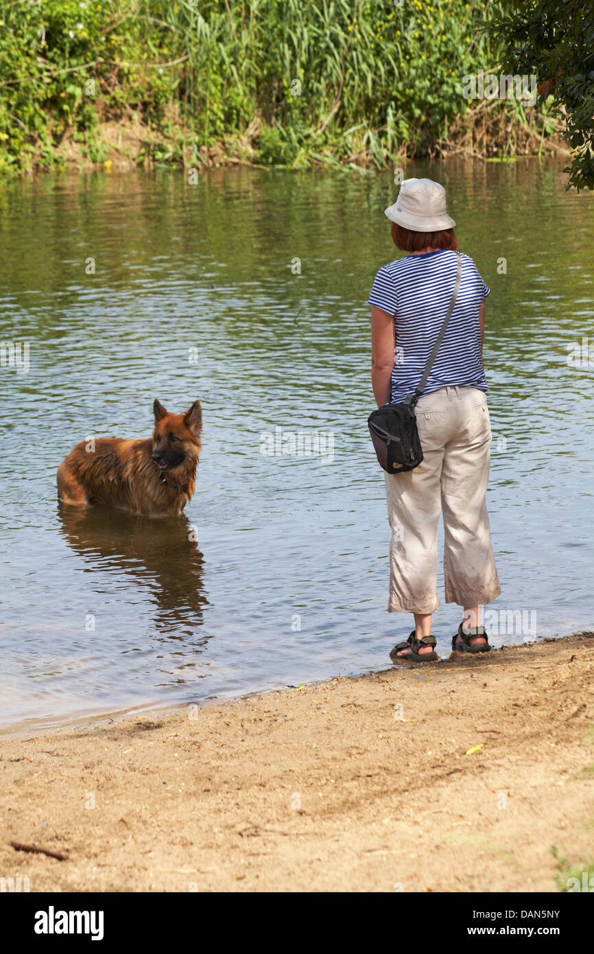 Frau spielt mit Hund im Fluss Stour in Dorset kühl zu halten, an einem heißen Sommertag im Juli Stockfoto