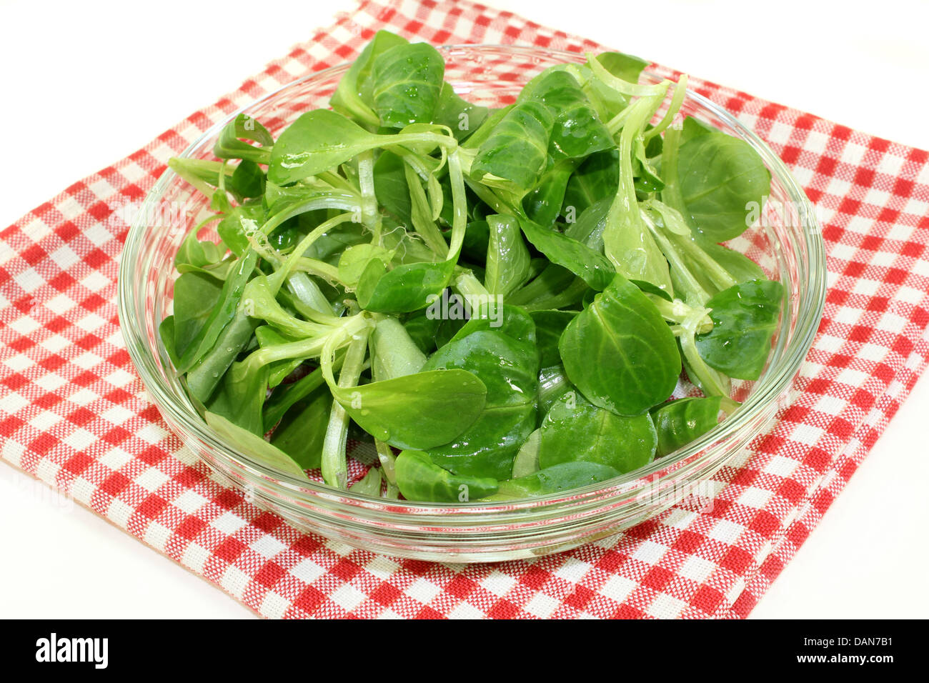 frischer Feldsalat in eine Glasschüssel Stockfoto