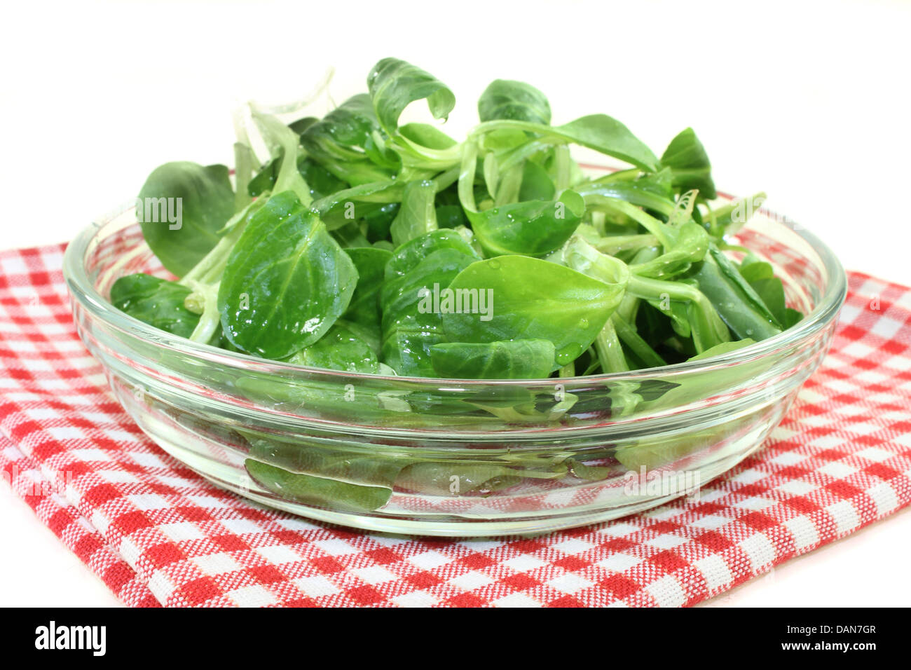 frischer Feldsalat in eine Glasschüssel Stockfoto