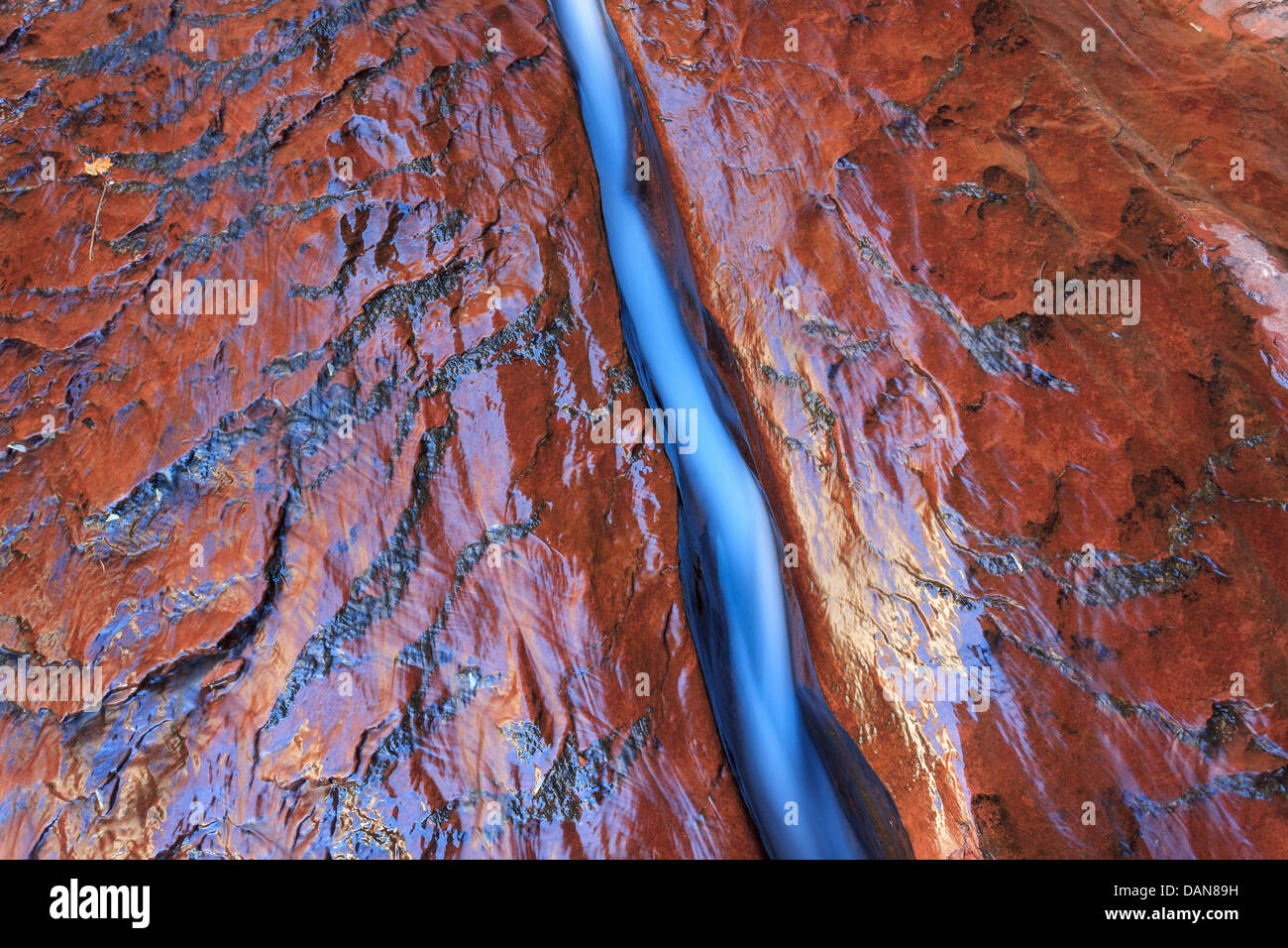 USA, Utah, Zion Canyon Nationalpark, die U-Bahn, Slickrock und kanalisierte Wasser Stockfoto