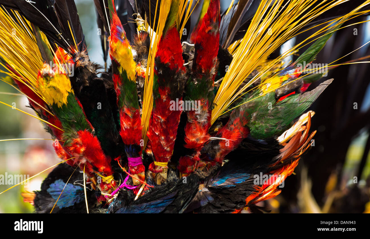 Federn und Vögel in einen Kopfschmuck eines Stammes von Papua-Neu-Guinea, Goroka Festival, Papua-Neu-Guinea Stockfoto
