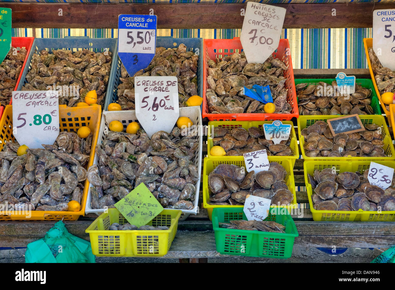 Stand mit Auster im Hafen von Cancale, Bretagne, Frankreich Stockfoto