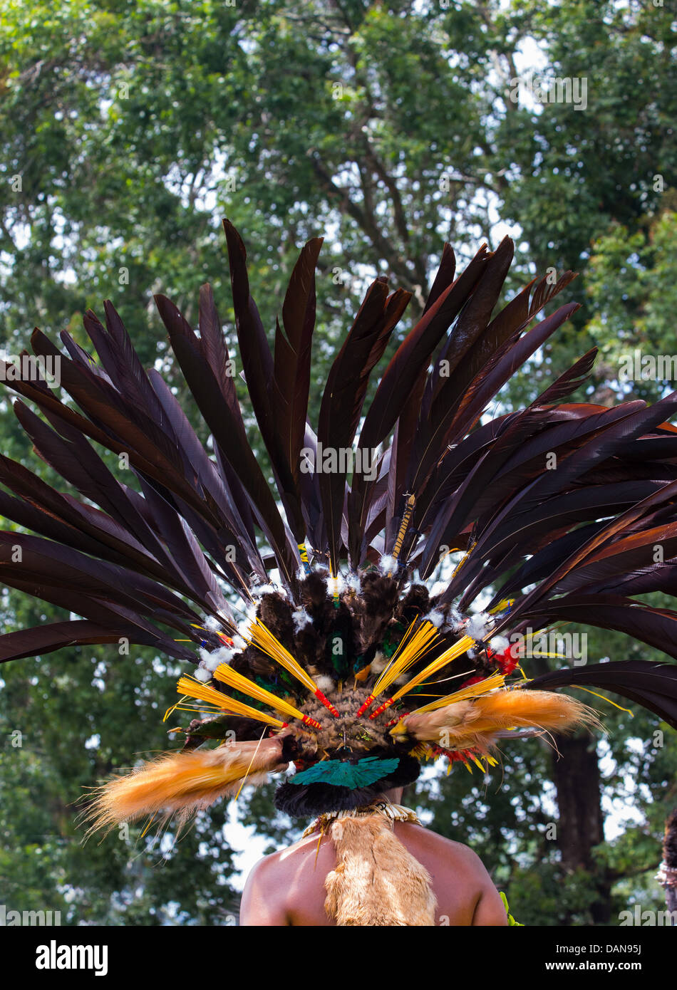 Junge Frau trägt einen große traditionelle Kopfschmuck aus Federn auf der Goroka Show in Papua-Neu-Guinea Stockfoto