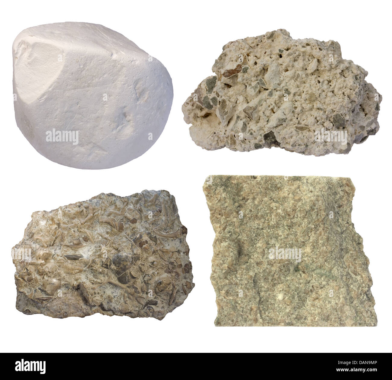 Kalkstein-Collage (Kreide, Tuffstein, fossilführenden Kalkstein, Grainstone) Stockfoto