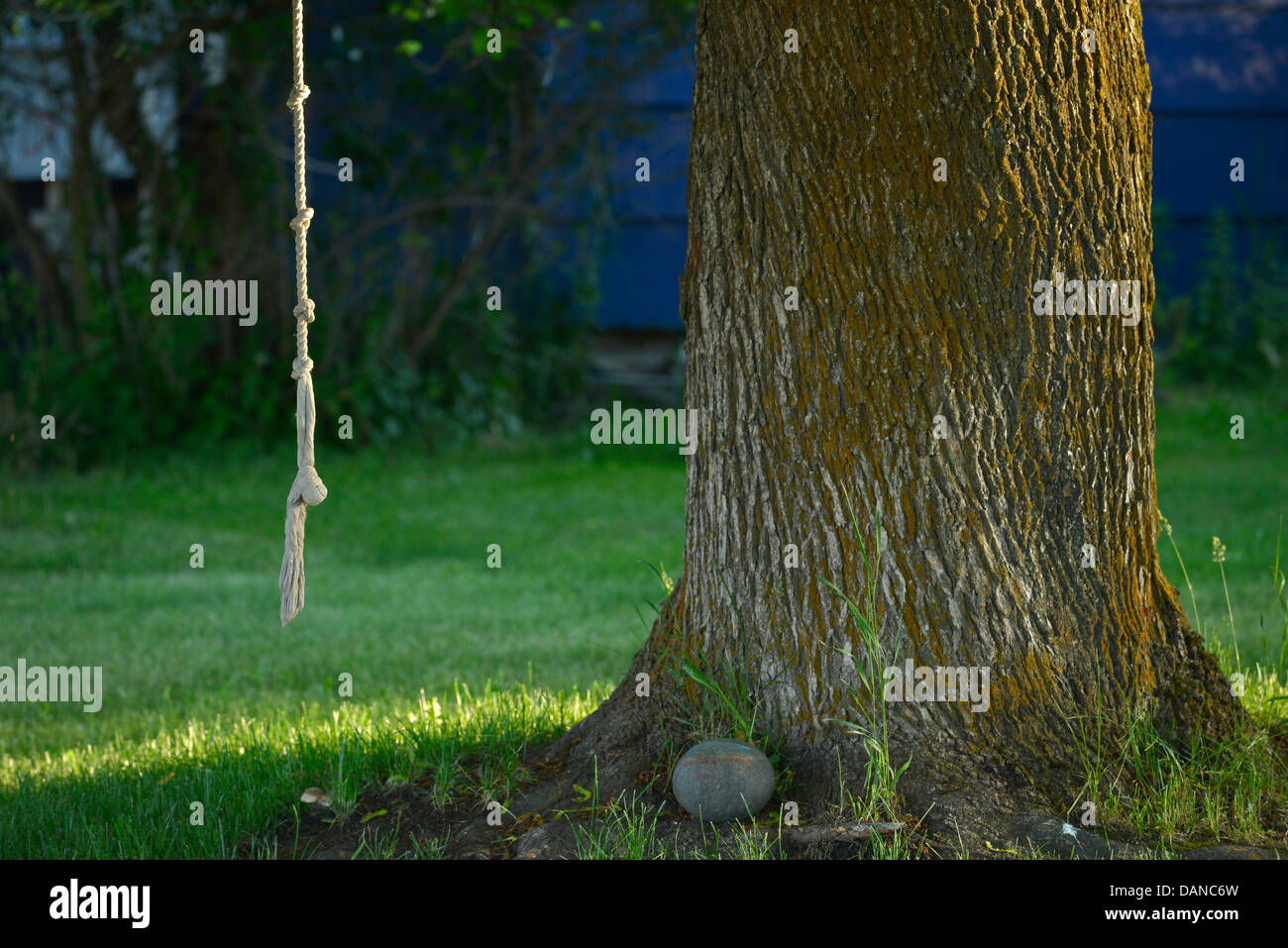 Seil Schaukel hängen von einem Baum in einem Hof in Joseph, Oregon. Stockfoto