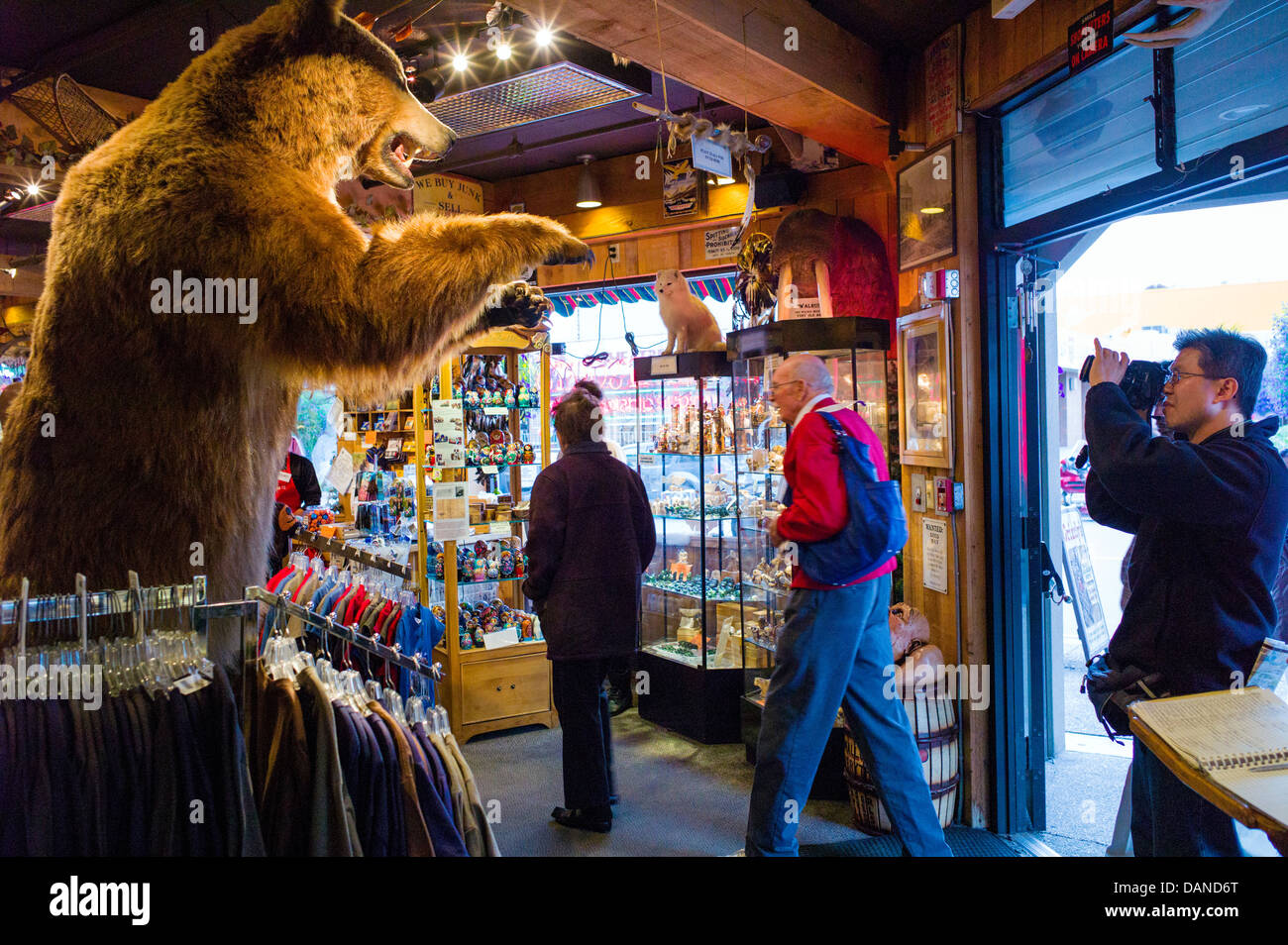 Tourist Fotos pro Lifesize gefüllt Grizzlybär am Eingang einen Souvenir-Shop, Anchorage, Alaska, USA Stockfoto