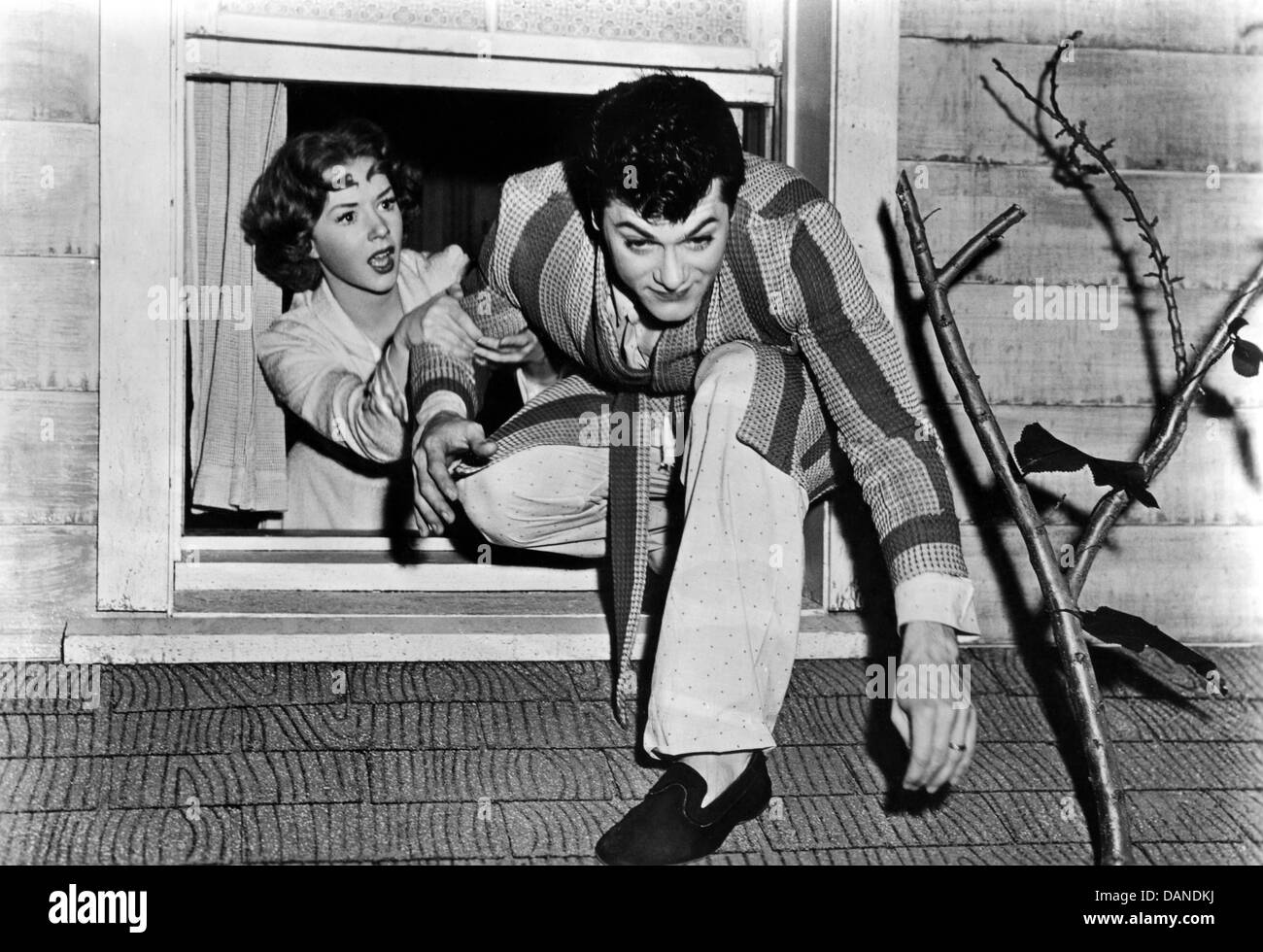 KEIN PLATZ FÜR DEN BRÄUTIGAM (1952) PIPER LAURIE, TONY CURTIS, DOUGLAS SIRK (DIR) NORG 002 MOVIESTORE COLLECTION LTD. Stockfoto