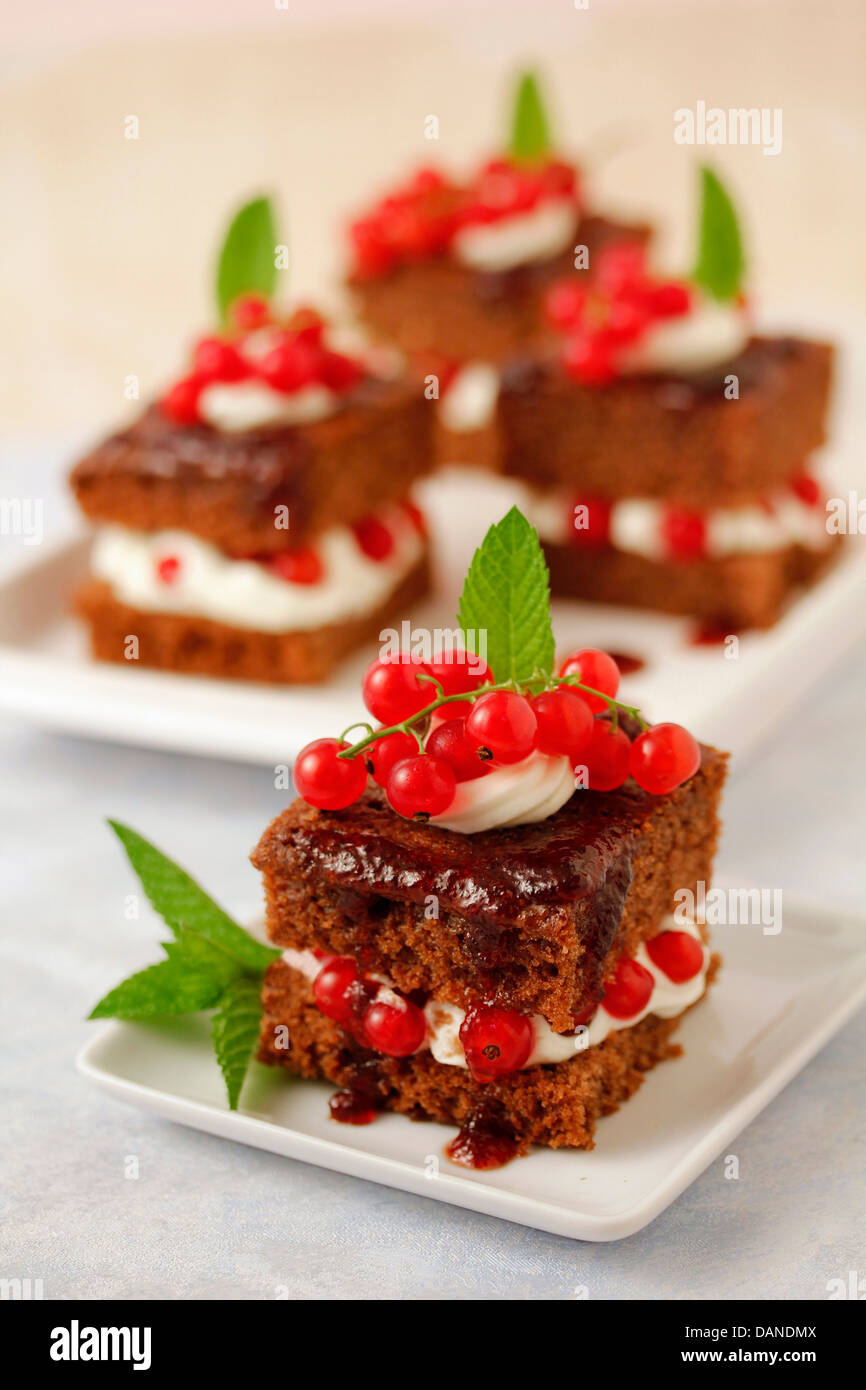 Schokolade Kuchen mit roten Johannisbeeren. Rezept zur Verfügung ...