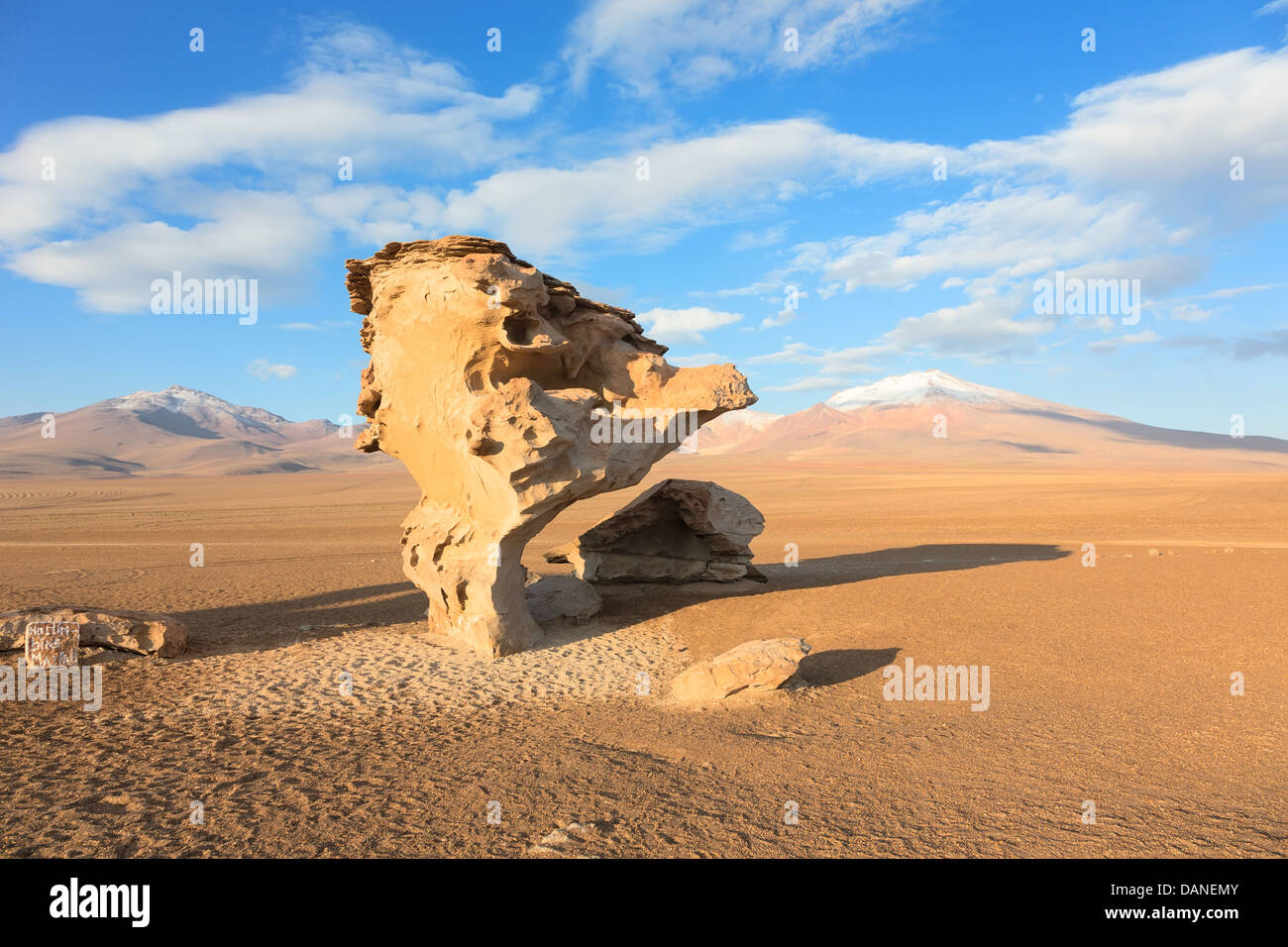 Felsformation Arbol de Piedra in der Wüste von Bolivien Stockfoto