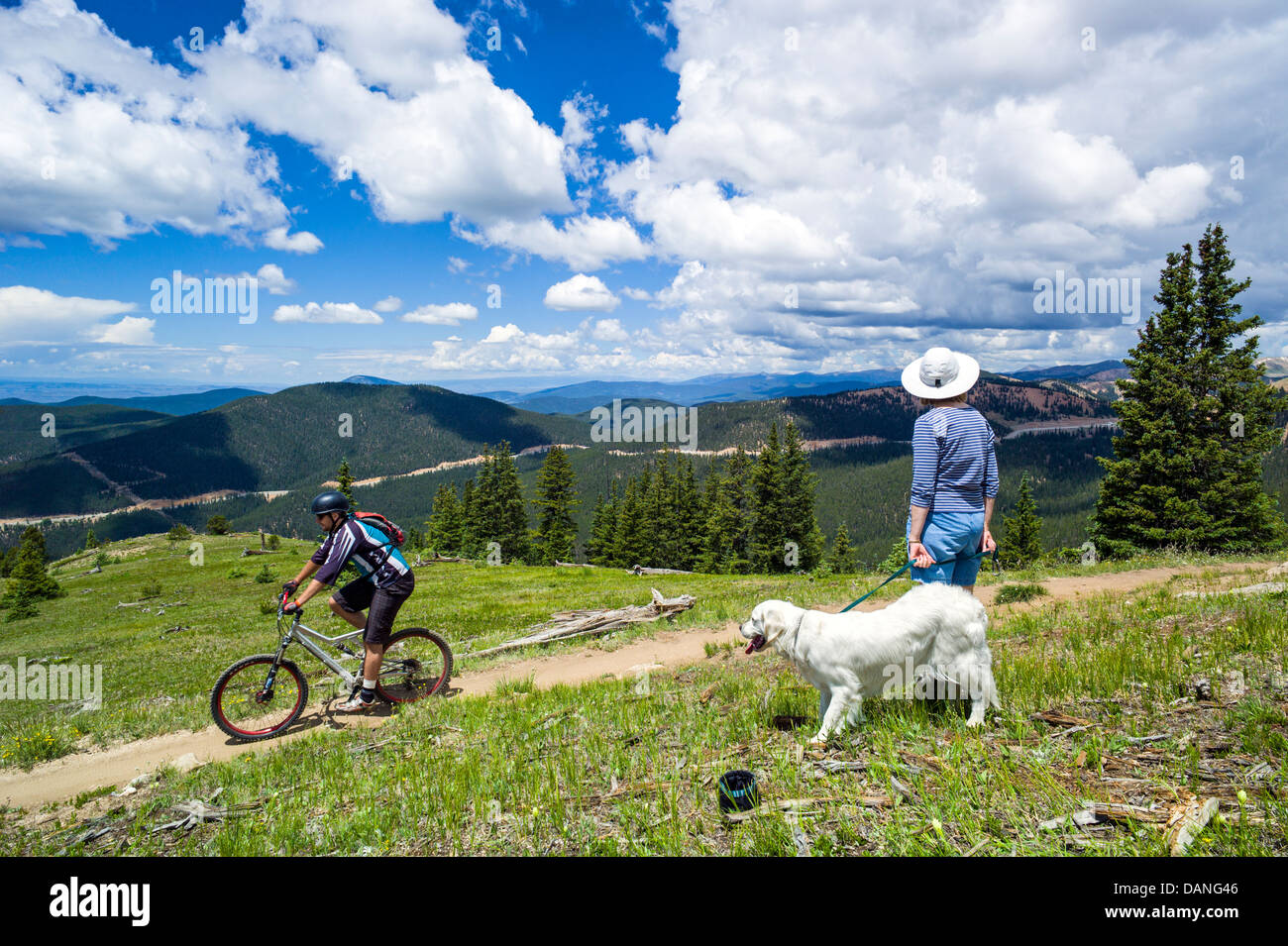 Einsame Frau & Platin Golden Retriever Hund sehen einen männliche Mountainbiker auf den Monarchen Crest Trail, zentralen Colorado, USA Stockfoto