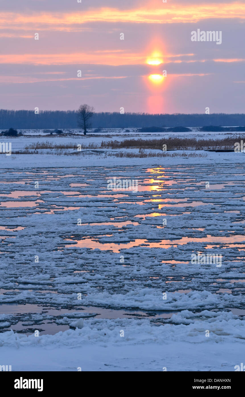 Drifting Eis auf der Elbe Biosphärenreservat Flusslandschaft Elbe, Deutschland Stockfoto