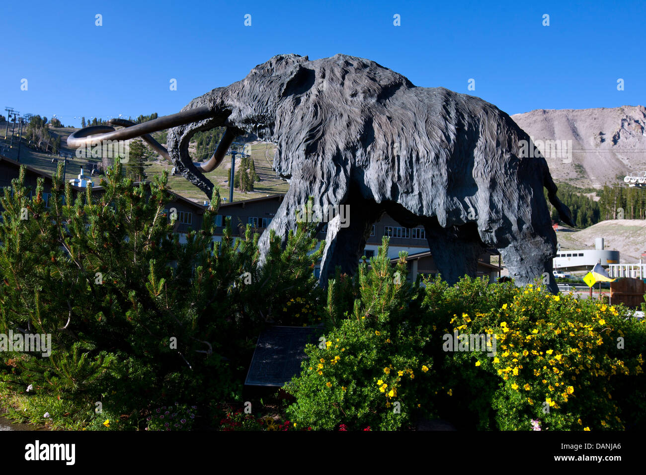 Statue von einem Wooly Mammoth, Mammoth Mountain Ski Area, Mammoth, California, Deutschland Stockfoto