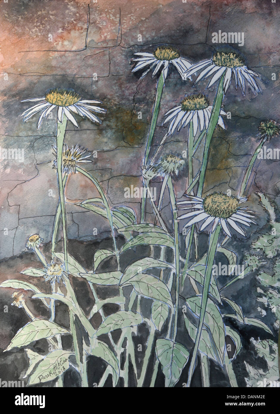 Gänseblümchen Blumen Aquarell Stockfoto