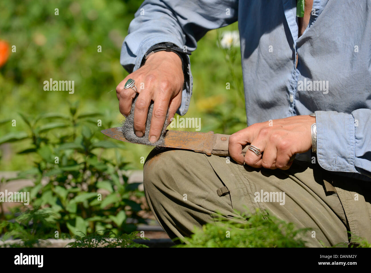 Gärtner mit Stahlwolle um zu Rost Gartenwerkzeug in Oregon Wallowa Valley zu reinigen. Stockfoto