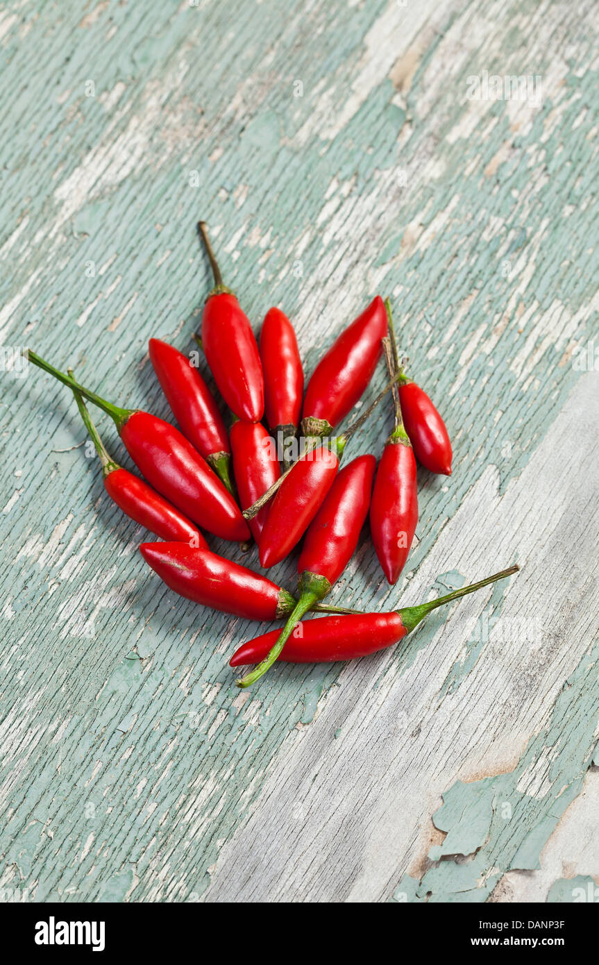 Einige helle rote Thai Kugel Chilischoten auf eine gebrochene lackierten Holzoberfläche. Stockfoto