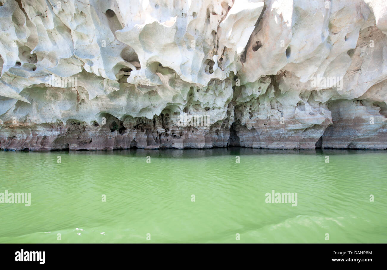 Nahaufnahme der devonischen Riff Kalkstein Geike Schlucht, gebildet von Fitzroy River in der Kimberley-Region in der Nähe von Fitzroy Crossing Stockfoto