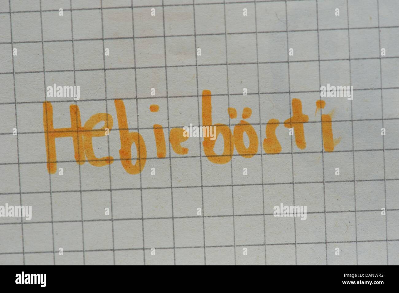 Die Lautschrift eine siebenjährige liest "Hebieboesti" (Hebiebösti) für die englische 'Happy Birthday' in Leipzig, Deutschland, 20. Juni 2011. Foto: Peter Endig Stockfoto