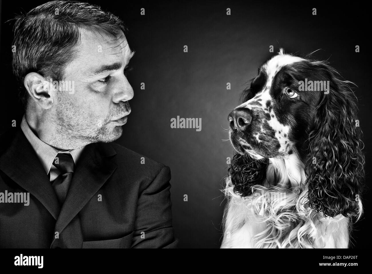 Reifer Mann mit English Springer Spaniel Stockfoto