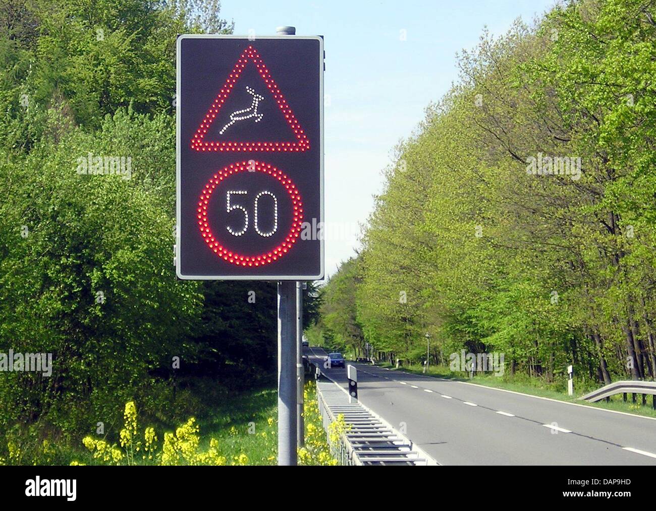 (Dpa Datei) - ein Datei-Bild datiert Mai 2004 zeigt eine elektrische Warnsystem befindet sich neben einer Straße in der Nähe eines Waldes in Sontra, Deutschland. Fahrer sollten vorsichtig während der Paarungszeit Hirsch sein. Foto: Ruth Schreiver Stockfoto