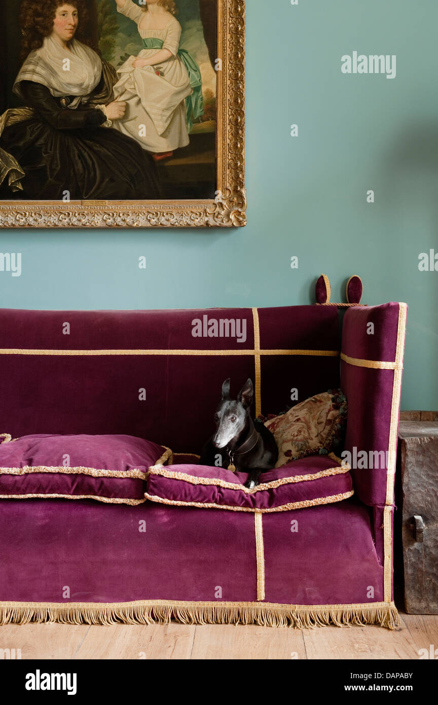 Hund auf Fuscia Sofa in Gloucestershire Landhaus Anwesen Stockfoto