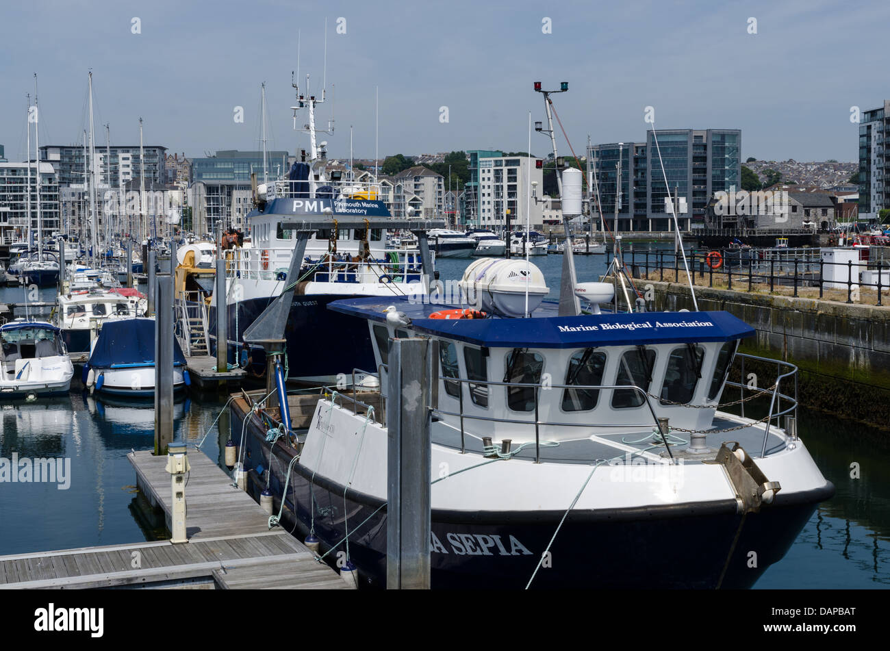 Marine Biological Association Boot vertäut im Hafen von Sutton, Plymouth Stockfoto