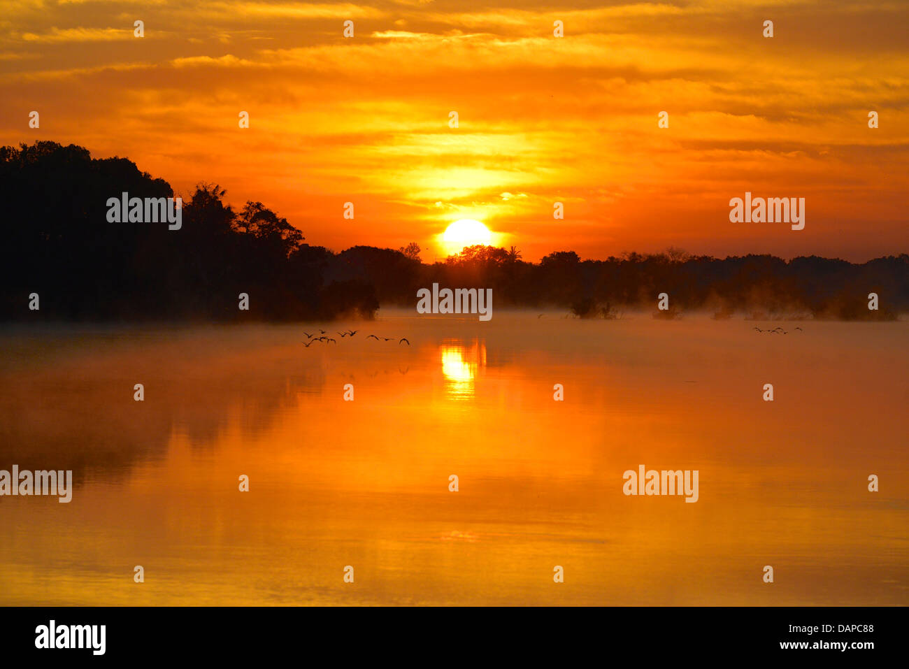 Sambesi an den Victoria Fällen, ein Weltkulturerbe, Grenze zwischen Simbabwe und Sambia und eine Welt berühmten touristischen resort Stockfoto