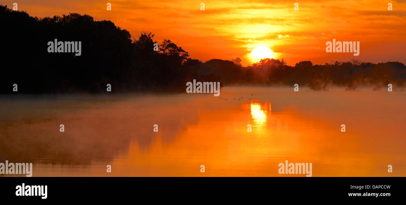 Sambesi an den Victoria Fällen, ein Weltkulturerbe, Grenze zwischen Simbabwe und Sambia und eine Welt berühmten touristischen resort Stockfoto