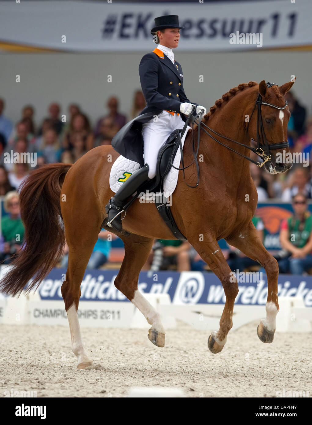Niederländische Adelinde Cornelissen in Aktion auf ihrem Pferd Jerich Parzival während der Grand Prix Special bei der Dressur-Europameisterschaft in Rotterdam, Niederlande, 20. August 2011. Cornelissen belegte den ersten Platz. Foto: Uwe Anspach Stockfoto
