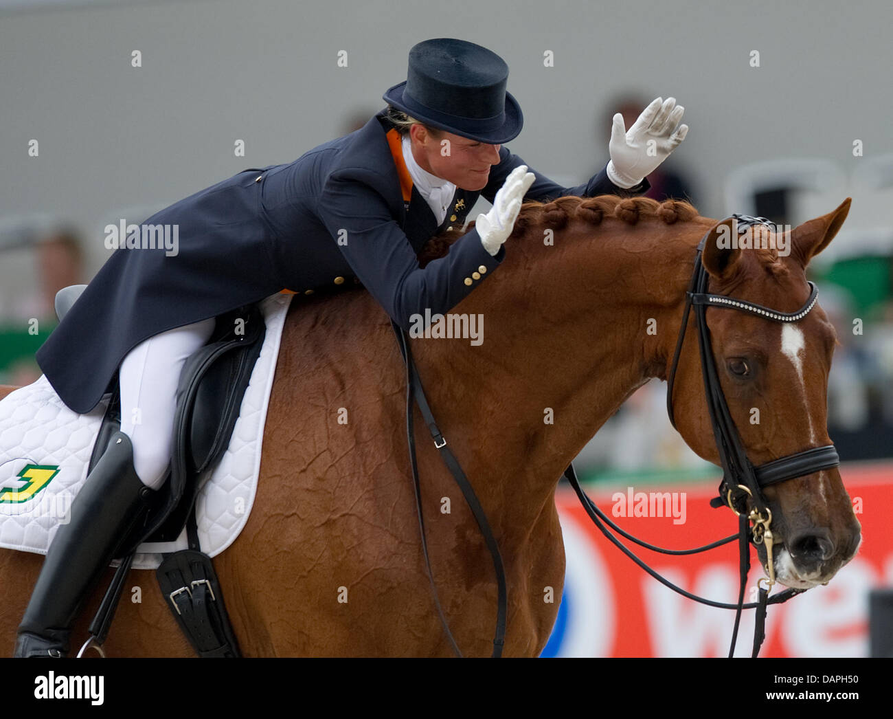 Niederländische Adelinde Cornelissen füllt ihr Pferd Jerich Parzival während der Grand Prix Special bei der Dressur-Europameisterschaft in Rotterdam, Niederlande, 20. August 2011. Cornelissen belegte den ersten Platz. Foto: Uwe Anspach Stockfoto