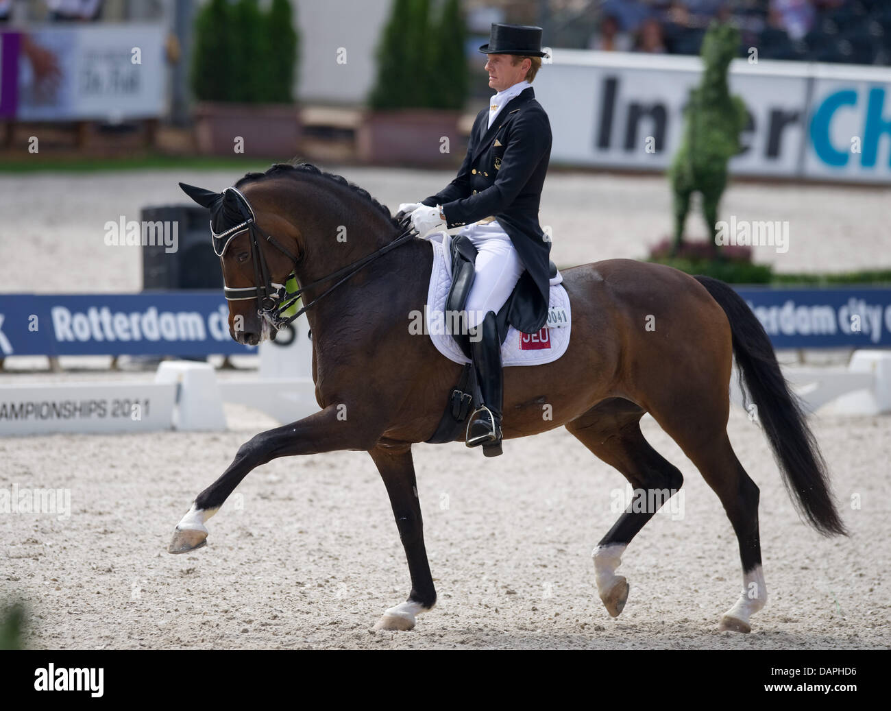 Niederländischen Reiter Edward Gal in Aktion auf seinem Pferd Sisther de Jeu der Grand Prix Special bei der Dressur-Europameisterschaft in Rotterdam, Niederlande, 20. August 2011.  Foto: Uwe Anspach Stockfoto