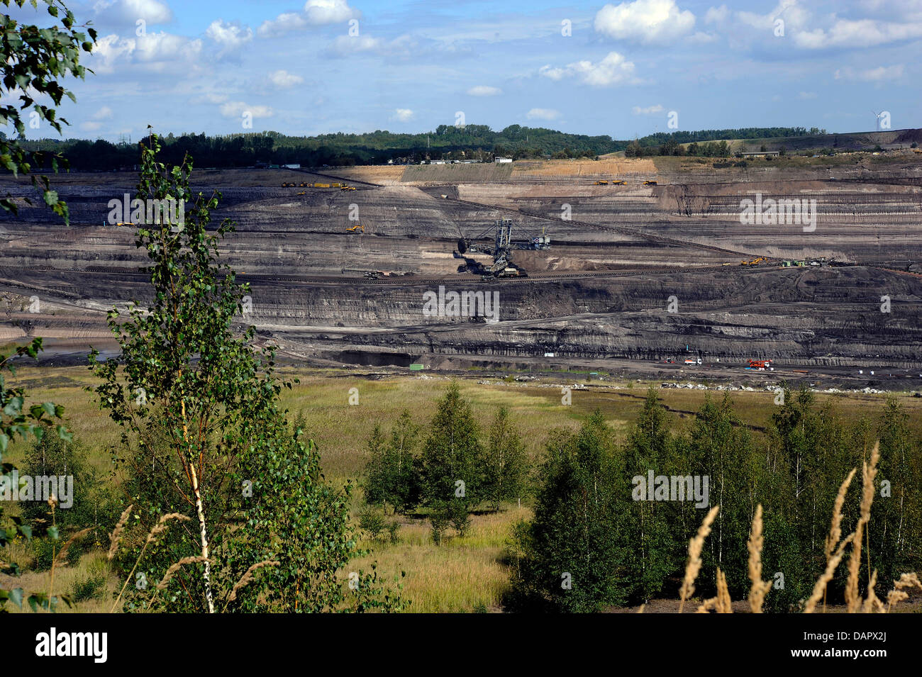 Bäume umrahmen den Tagebau mine in der Nähe von Schöningen, Deutschland, 31. August 2011. Foto: Holger Hollemann Stockfoto