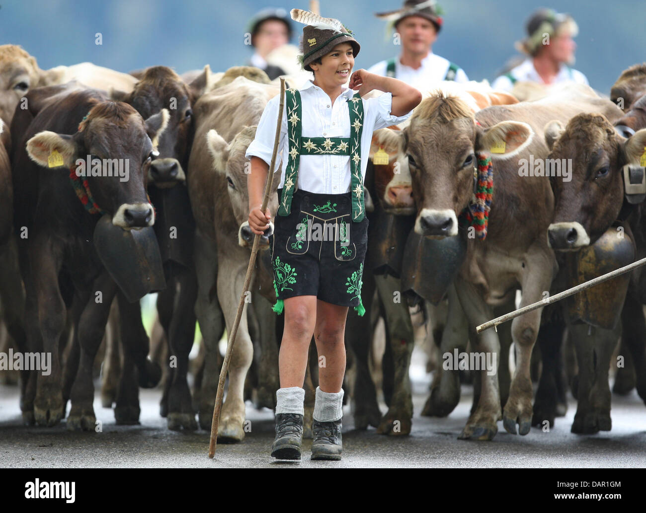 Alp Bauern treiben ihr Vieh ins Tal während der Viehscheid-Almabtrieb in Oberstaufen, Deutschland, 9. September 2011. Während die Viehscheid-Almabtrieb werden Tausende von Kühen aus den Bergen ins Tal getrieben. Foto: KARL-JOSEF HILDEBRAND Stockfoto