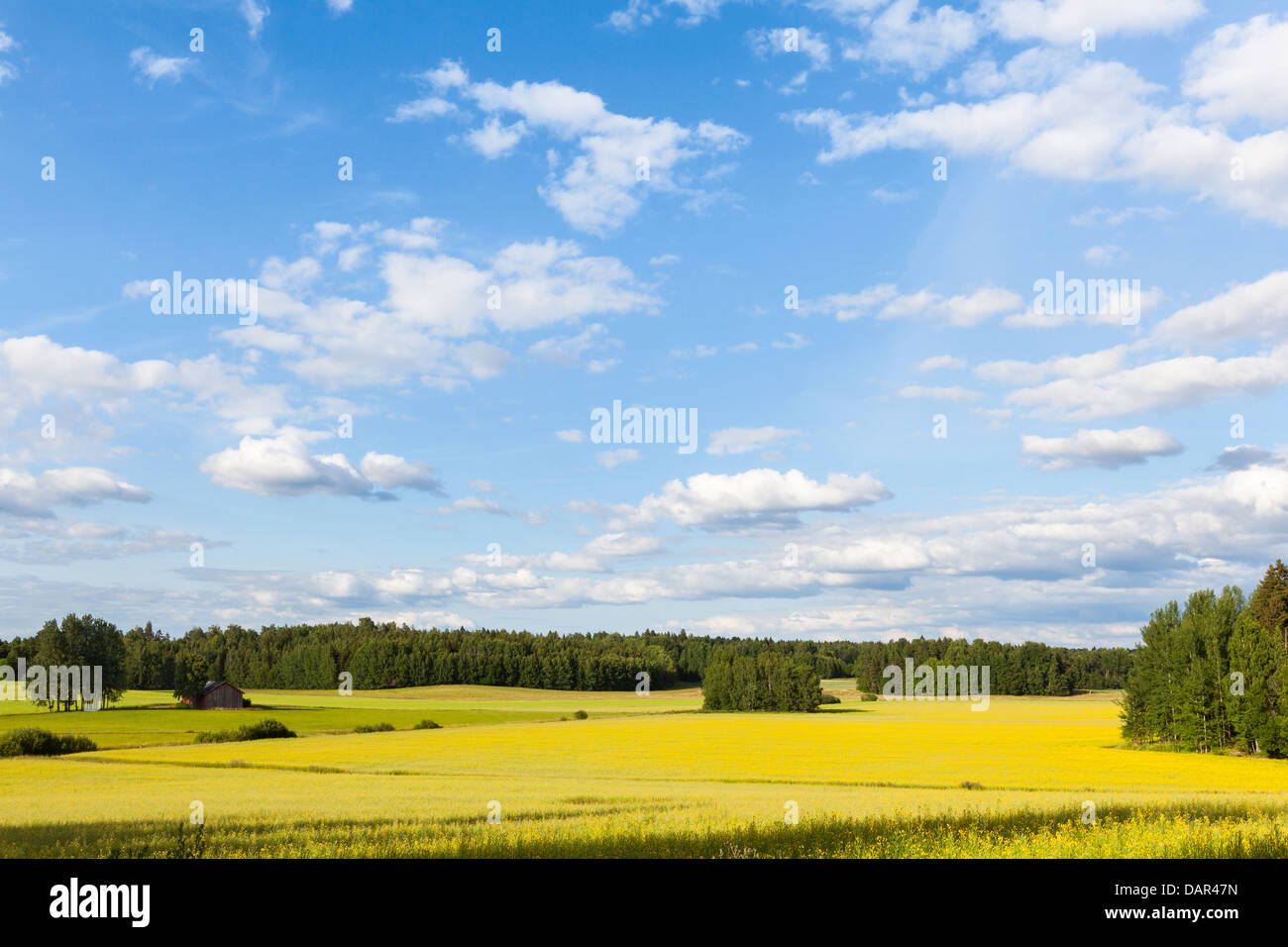 Blick auf die schöne Landschaft in Finnland Stockfoto