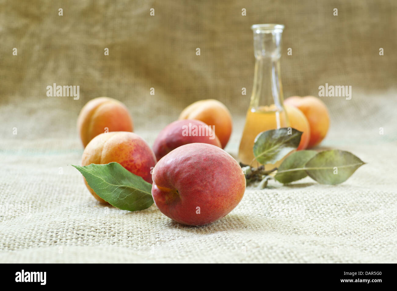 Frische und leckere Aprikosen Obst und Aprikosenschnaps auf einer Tischdecke. Selektiven Fokus mit geringen Schärfentiefe. Stockfoto