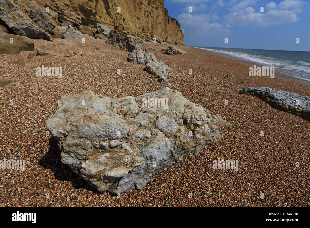 Der Jurassic Coast Dorset UK GB Stockfoto